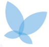Blue Butterfly from The Self-Discover Advisor Logo